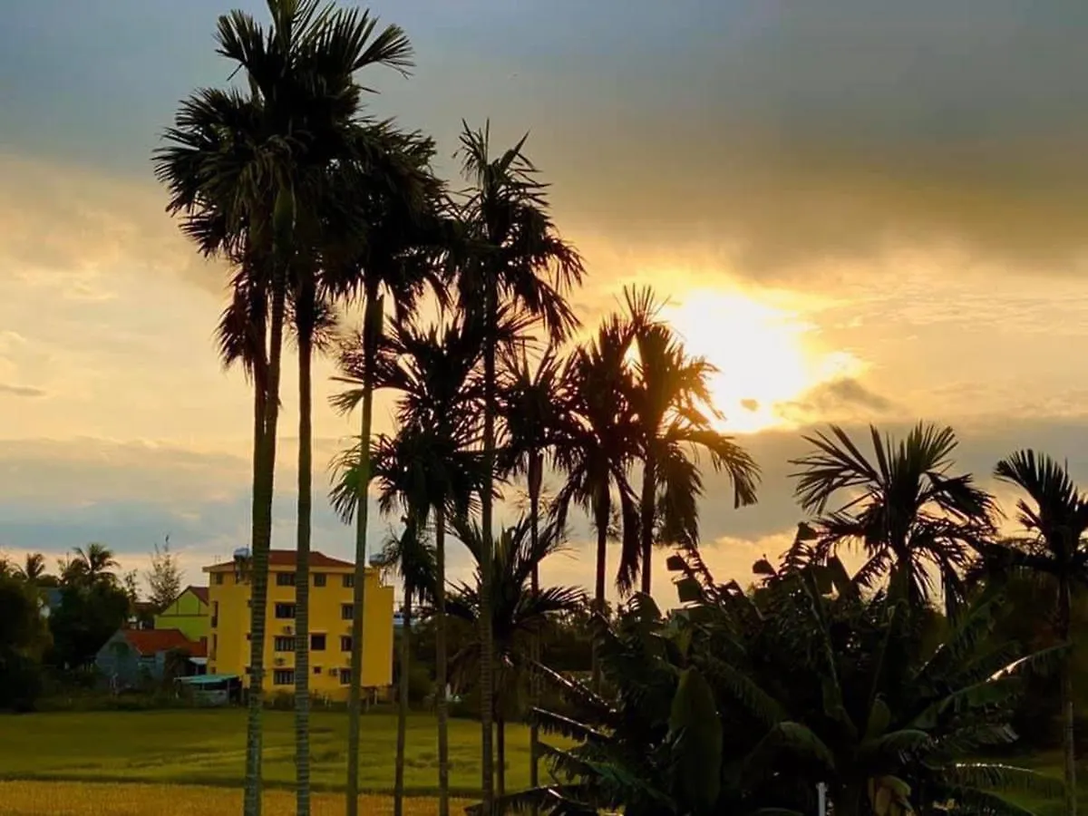 Hoi An Paddy House Homestay Vietnam